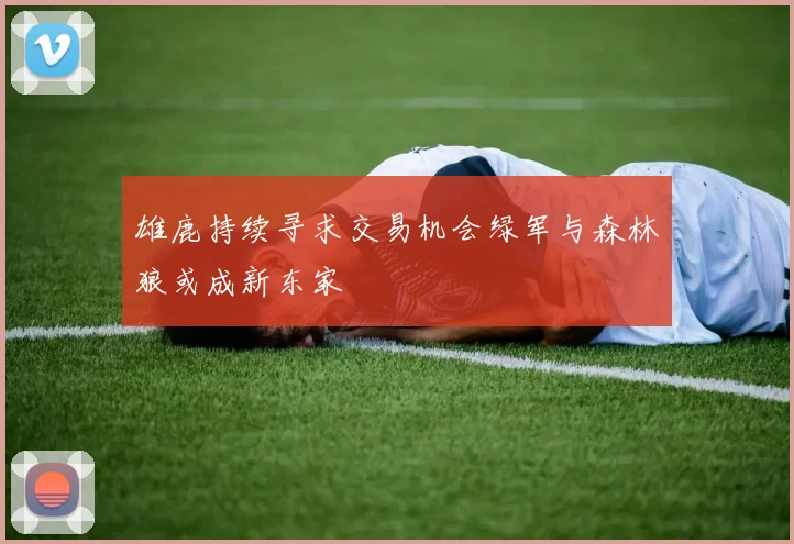 雄鹿持续寻求交易机会绿军与森林狼或成新东家