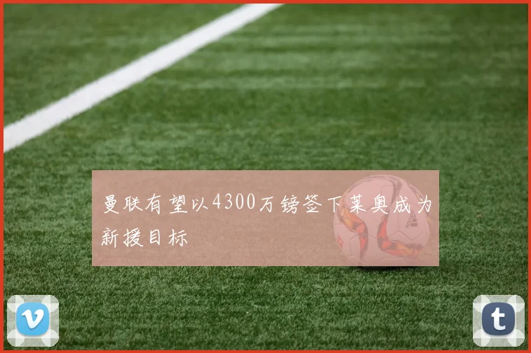 曼联有望以4300万镑签下莱奥成为新援目标