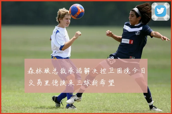 森林狼总裁承诺解决控卫困境今日交易里德换来三球新希望