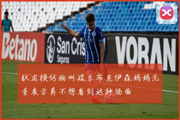 狄龙模仿狗叫逗乐布克伊森妈妈无奈表示真不想看到这种场面