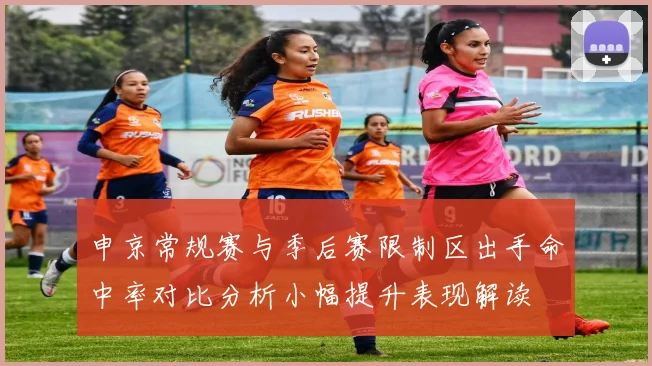 申京常规赛与季后赛限制区出手命中率对比分析小幅提升表现解读